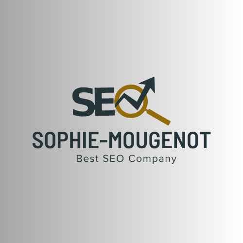 פורטל קידום אתרים אורגני וממומן